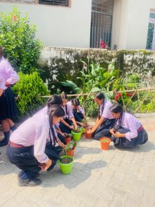 World Environment Day.